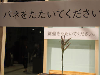 P1210035