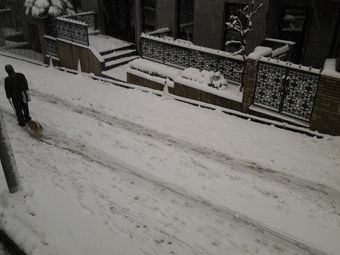 20140208_155536_resized