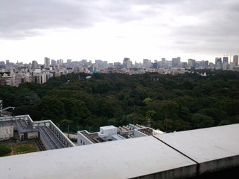 minami_shinjuku_6