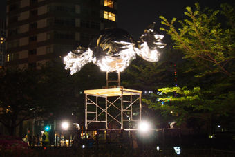 P4250072