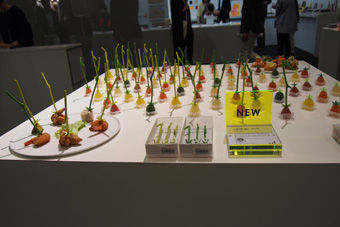 P6100067