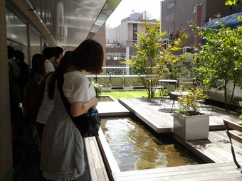 hotek niwa tokyo14