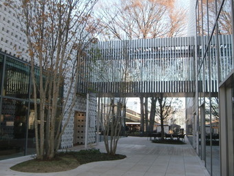 CIMG1407