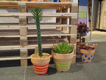 P6200023