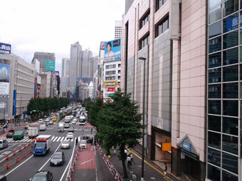 minami_shinjuku_10