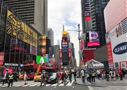 IMG_0510