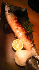 4713d37a.jpg