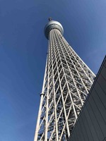 IMG_2725
