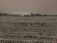 IMG_0556