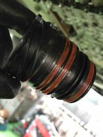 IMG_0494