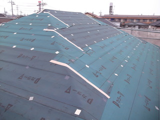 DSCF1013