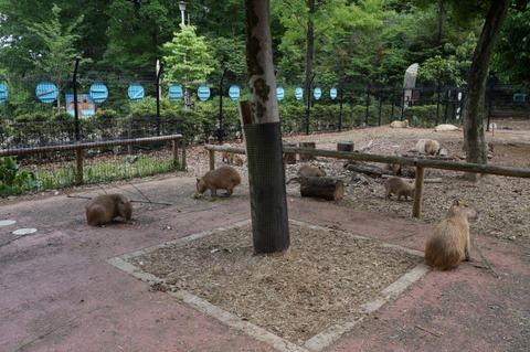 DSC07300
