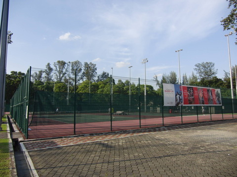 CIMG8266