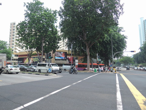 DSCN6238