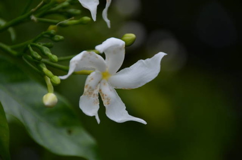 DSC_0846