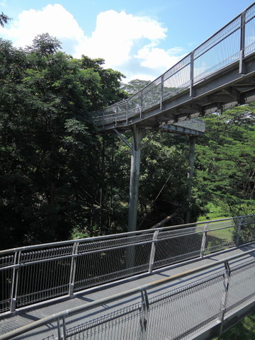 DSCN6197