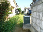 DSC00504