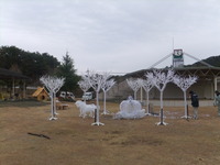 2012_1205_140445-DSCF1285
