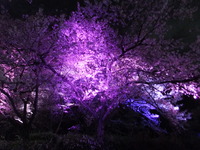 2013_0405_202621-DSCF1531