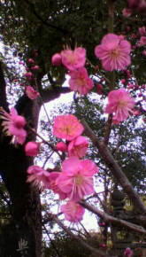 20110219_03