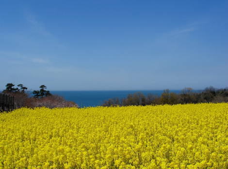 pic110406_17