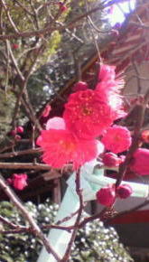20110219_02