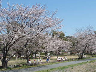 pic110406_06