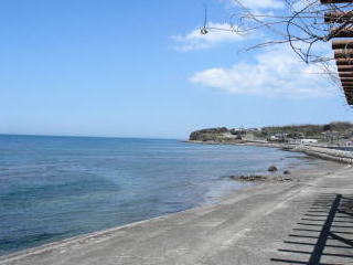 pic110406_07