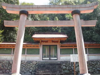 pic110406_05