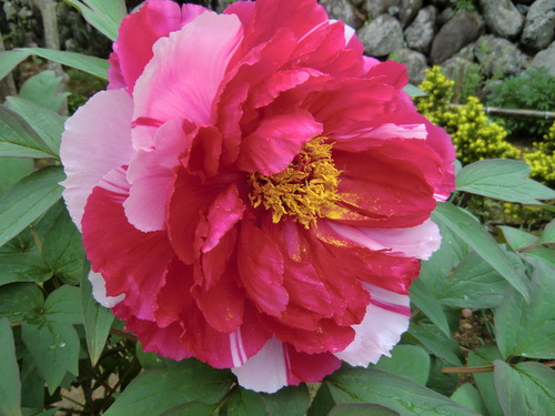042