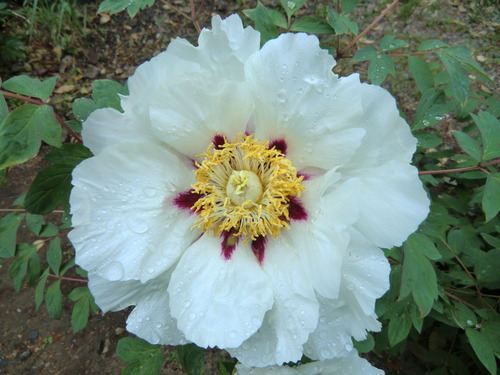 040