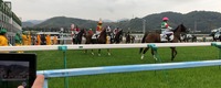 IMG_0964 (2)