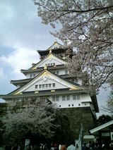 大阪城桜2