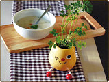 TATERPOT MAIN
