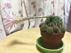 re_2016-8-23_02-46