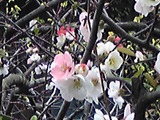 120420_143800