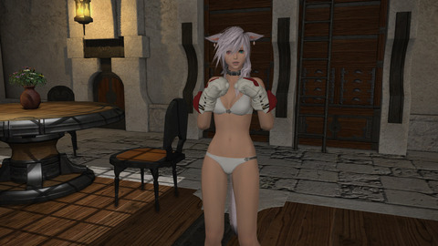 ffxiv 2014-02-21 00-46-11-286