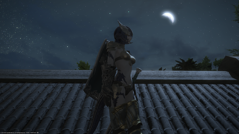 ffxiv_20160206_094933
