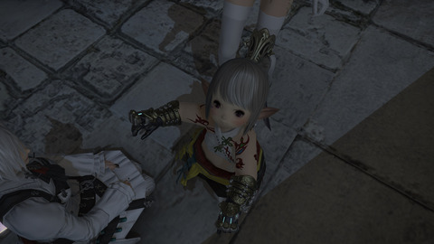 ffxiv_dx11 2016-02-28 00-58-56-859