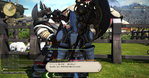 ffxiv_dx11 2017-08-13 14-24-59-751