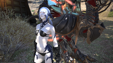 ffxiv_20160123_114819