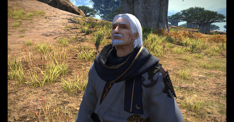 ffxiv_dx11 2017-11-11 12-53-27-939