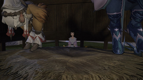 ffxiv 2015-05-15 21-21-26-560
