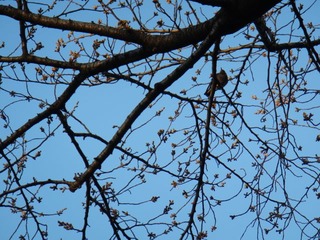 DSCN1727