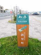 DSCN3984