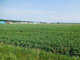DSCN3995