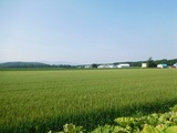DSCN3994
