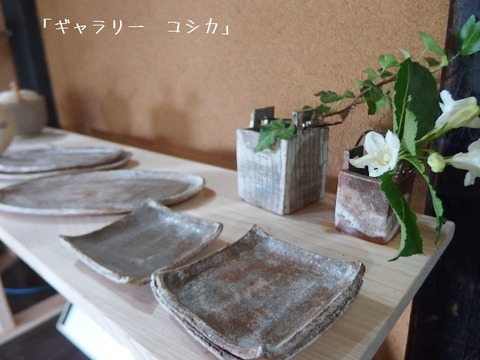 P6060499