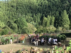 20181007_060546556_iOS