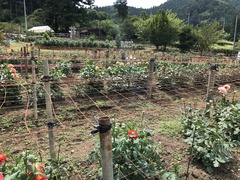 20180830_033421558_iOS